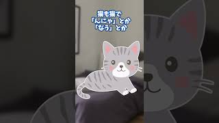 99万回再生！！【2chほっこり】夜勤明けで寒かったから猫を湯たんぽ代わりに抱っこしてベッドで寝ていたらなんか声がコソコソ聞こえる。うっすら目を開けたら嫁が猫に向かって…。 Shorts 2ch [upl. by Dian]