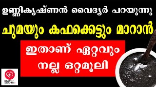 Home Remedy for Cough in Malayalam  Chuma  Kafakettu  Cough Treatment in Malayalam  kapha kettu [upl. by Karlin957]