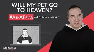 Will My Pet Go to Heaven AskAFriar Aquinas 101 [upl. by Namaj942]