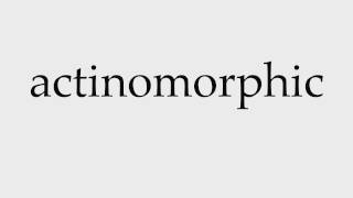 How to Pronounce actinomorphic [upl. by Kallman]