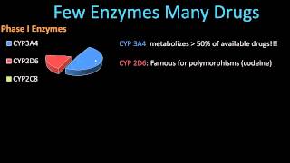 Phase II Metabolism  Pharmacology Lect 8 [upl. by Beichner]