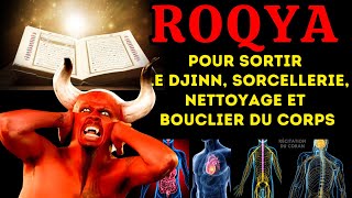 ROQYA QUI FAIT PLEURER LES DJINNS LES FAIT SORTIR DU CORPS ET SE REPENTIR [upl. by Ahsienot]