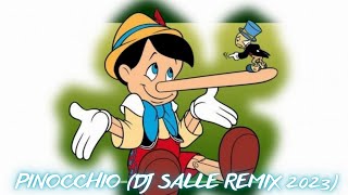 Pinocchio DJ Salle Remix 2023 [upl. by Welcy738]