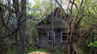 Gjetën një kabinë misterioze në pyll dhe ajo se çka shohin brenda do tju lë pa fjalë [upl. by Schmitt564]