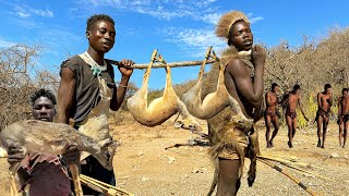 Hadzabe Tribe Made It Again With A Lot Of Antelopes  Hunters Documentary [upl. by Nwahsiek]