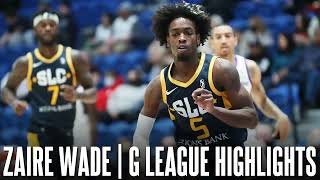 Zaire Wade G League Highlights ᴴᴰ [upl. by Ulla]