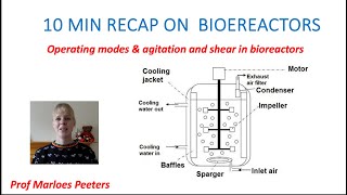 Introduction to bioreactors 10 min recap on operating modes and agitation  shear [upl. by Marcille]