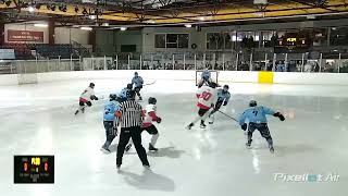 Basingstoke Buffalo vs Bristol Pitballs Home Quarter Final 30032024 [upl. by Anadal]