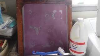 Removing silkscreen emulsion with bleach [upl. by Asseralc]