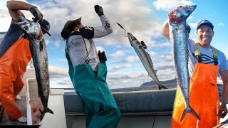 Snoek fishing in Buffels Bay Cape Point [upl. by Koy433]