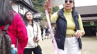 Full Edo Wonderland Nikko Edomura  October 27 2024 [upl. by Kceb]