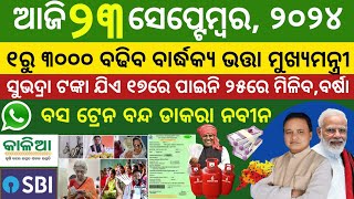 Todays morning news odisha 23 September 2024 kalia yojana moneyaawas plusnyc gov jobTop10news [upl. by Oscar]