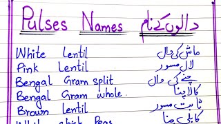 Pulses Name in English and Urdu  Pulses Name in Urdu  Daal Names in Urdu  Daalon Ke Naam English [upl. by Wallas215]