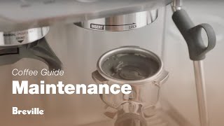 The Barista Express®  How to perform a cleaning cycle on your espresso machine  Breville USA [upl. by Festatus292]