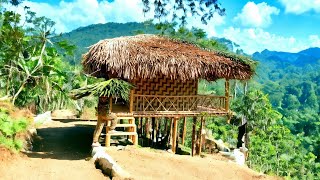 Survival Alone  Build a Bamboo House as a Shelter in the Deep Rainforest  Nhu Building Life [upl. by Simaj]