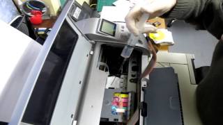 Cleaning an Epson Print Head [upl. by Cirri163]