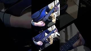 Slipknot  Snuff with Harley Benton quotJim Root Fender knockoffquot [upl. by Post]