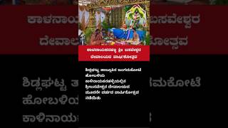 Sidlaghatta  ಕಾಳನಾಯಕನಹಳ್ಳಿ ಶ್ರೀ ಬಸವೇಶ್ವರ ದೇವಾಲಯದ ವಾರ್ಷಿಕೋತ್ಸವ [upl. by Afira]