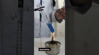 Chemistry Class 12 CBSE practicalquotpresence of aldehydequot chemistrypracticals cbsesyllabus ytshorts [upl. by Emor432]