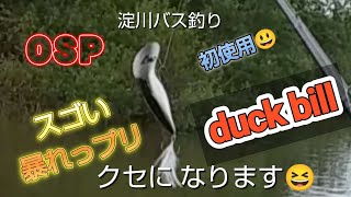 淀川バス釣り👍増水淀川😯OSP duck bill ドライブクローラー9インチ高浮力 使ってみた😆 [upl. by Yroggerg]