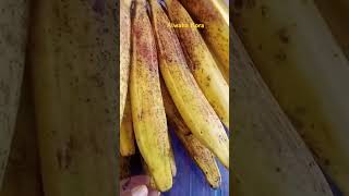 Jenis pisang bawen [upl. by Ethelred]