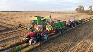 Żniwa 2023 🌾🌾 DeutzFahr TopLiner 4090 HTS  2x Case IH  Zetor Proxima  Metaltech TS 16 Ursus [upl. by Oscar]