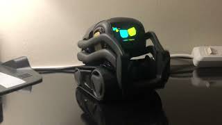 anki vector robot 2022 [upl. by Ahseer131]