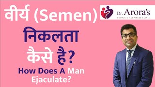 how does a man ejaculate  वीर्य कैसे निकलता है semen हस्तमैथुन masturbation intercourse [upl. by Eddi921]