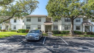 305 Windward Pl Oldsmar FL [upl. by Fakieh]