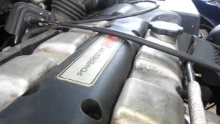 SVT Focus valve train noise [upl. by Aciraa]