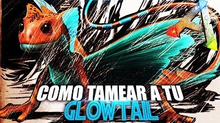 COMO TAMEAR A TU GLOWTAIL  Guia Español  Ark Survival Evolved [upl. by Januarius]