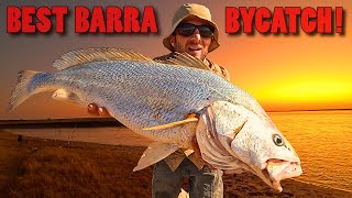 Unexpected Catch Mulloway Black Jewfish While Fishing for Barramundi [upl. by Darrick]