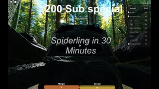 Spiderling in 30 Minutes  Ant life v2  200 subs special [upl. by Neraa]