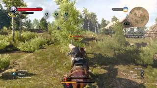 The Witcher 3 Wild Hunt Single kill on horse back [upl. by Aldis895]