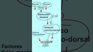 ✅ SOLUCIONES INTEGRATIVAS PARA EL TÚNEL CARPIANO Desde Fiit Concept apostamos por atacar las [upl. by Belia469]