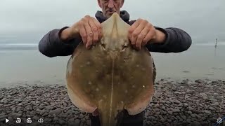 A FEW FISH ABOUT 6924 seafishinguk minehead bristolchannel [upl. by Charmain]