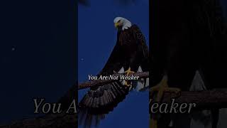 How an Eagle and a Hawk Proved That Only Courage Lifts Us to New Heights [upl. by Nillek819]