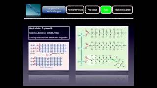 Basiskurs BiochemieChemie Fett Teil 910 [upl. by Mcgrody]