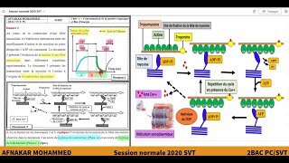 22 Correction session normale 2020 SVT Contraction musculaire 2BAC PCSVT [upl. by Naloj]