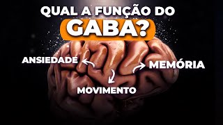 O que você PRECISA SABER sobre o GABA [upl. by Ahsekim598]