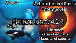 Eclispe 080424 2 choix ce qui se transforme  liens dâmes [upl. by Chalmer183]