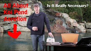 The Importance Of Aeration In Your Koi Pond [upl. by Eniamart50]