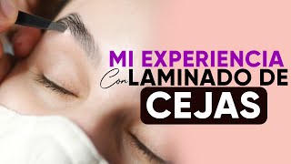 Mi Experiencia con el laminado de cejas [upl. by Toogood]