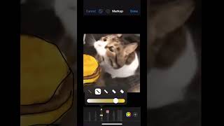 Here kitty you can has cheese burger drawing cat [upl. by Jed586]