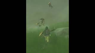 The Legend of Zelda Breath of the Wild  Bokoblin Tossing shorts [upl. by Jaddan]