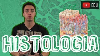 Biologia  Histologia  Visão Geral para o Enem e Vestibulares [upl. by Efi]