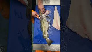 How To Fillet Cod Beginners Tutorial [upl. by Alana]