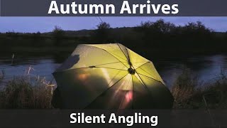 Barbel Fishing  River Wye  Autumn  Night tips rigs tactics pellet feeder  silent fishing [upl. by Ayenat]