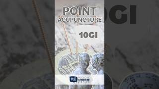 POINT D’ACUPUNCTURE  10GI  Shou San Li acupuncture acupuncturepoints medecinechinoise [upl. by Jonati]