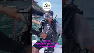 Andaman Islands Explore  Best Tour Agency In Andaman  Andaman Tour  Andaman Travel [upl. by Mellicent]